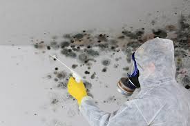 Mold Remediation for Vacation Homes